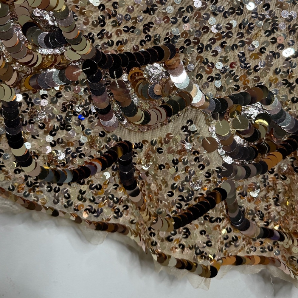 LoveShackFancy Liria Sequin Mini Dress in Honey Shimmer size 6 - Picture 7 of 12